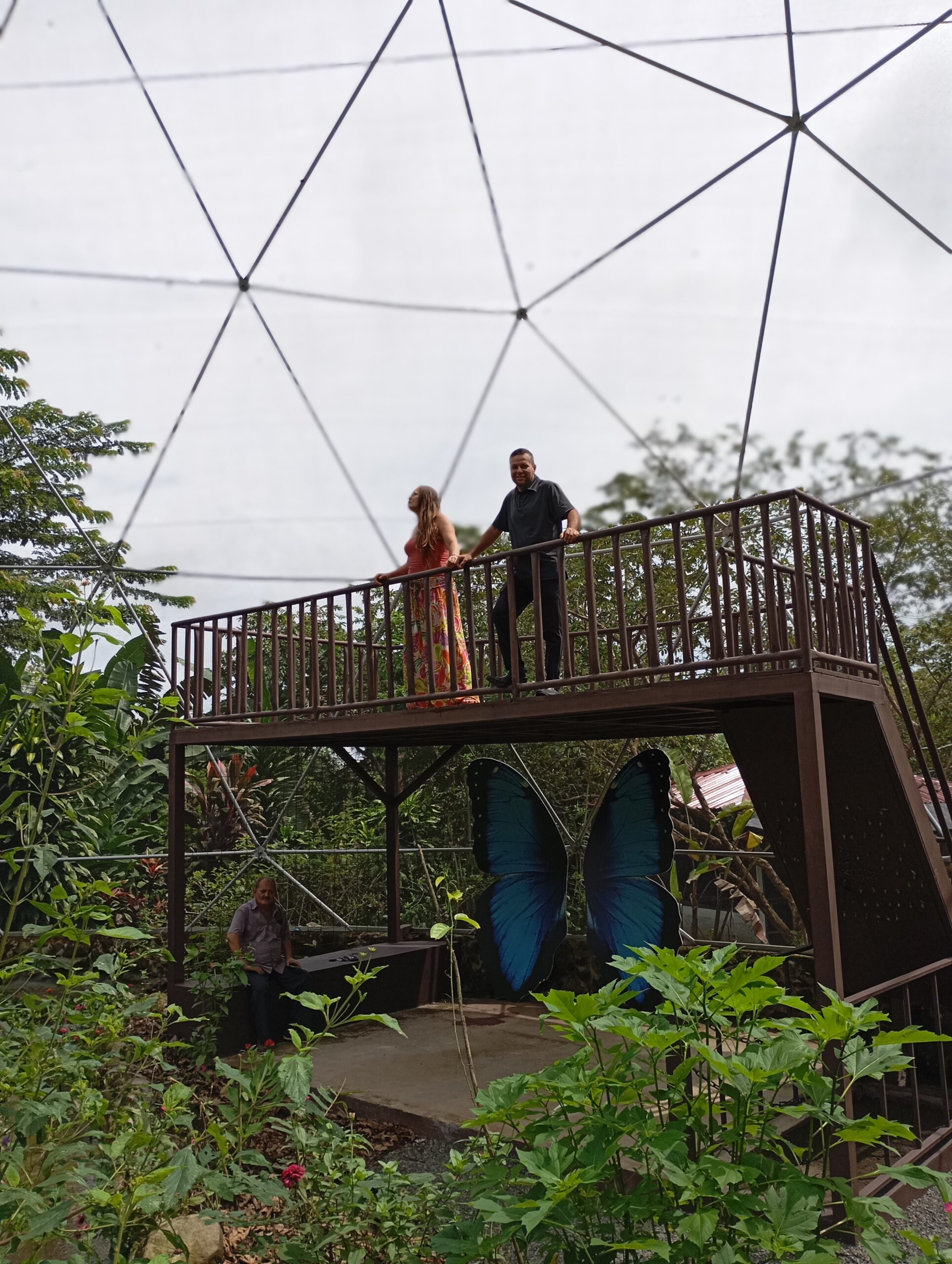 The Butterfly Garden & Conservation