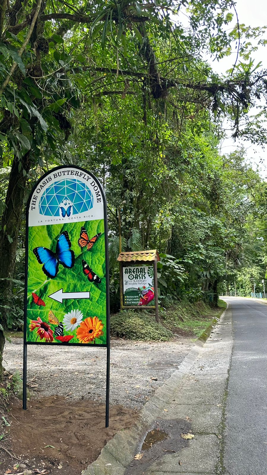 The Butterfly Garden & Conservation